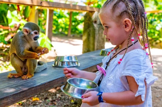 MonkeyLand Punta Cana