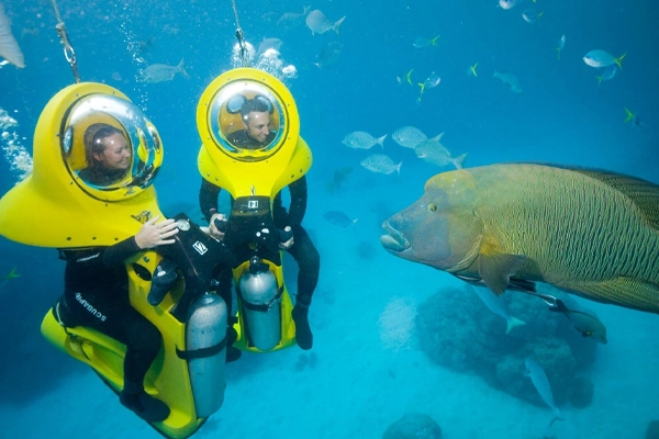 Scuba Doo
